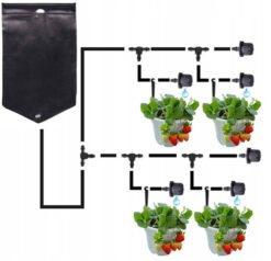 Sistem de udare prin picurare cu bazin 10ltr BassPolska